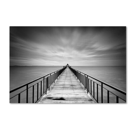 Trademark Fine Art Michael de Guzman 'Withstand' Canvas Art, 22x32 ALI0286-C2232GG